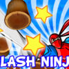 slash ninja