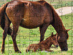 Jigsaw Puzzle Animale domesticite